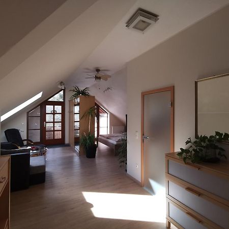 Studio Und Apartment Auf Dem Pferdehof Burgpreppach Exteriör bild