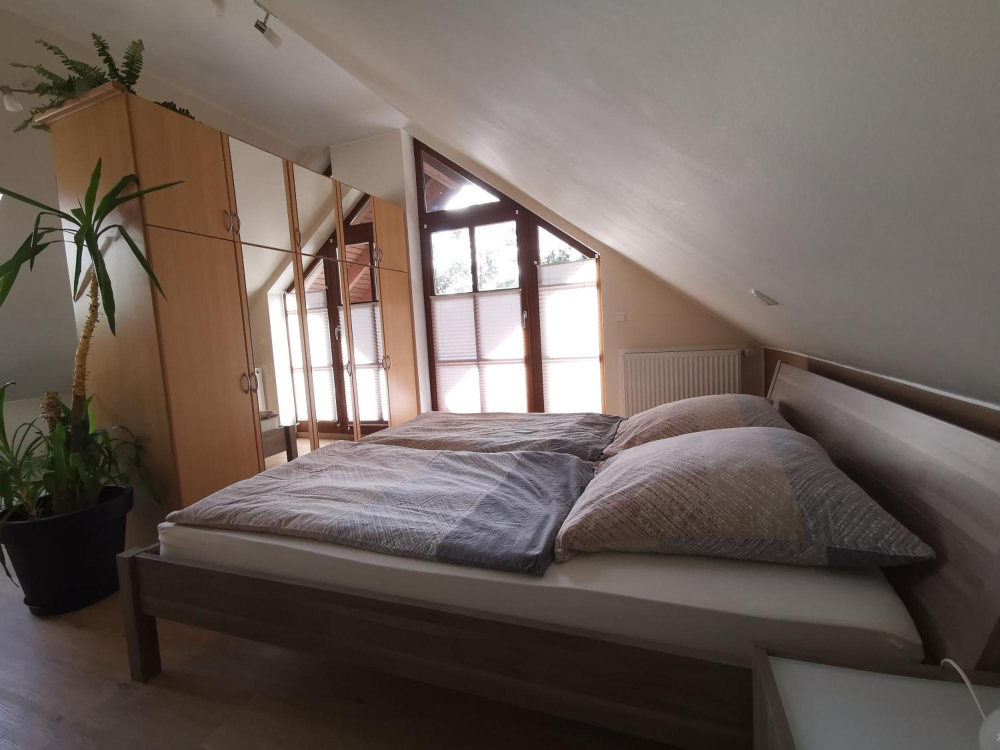 Studio Und Apartment Auf Dem Pferdehof Burgpreppach Exteriör bild