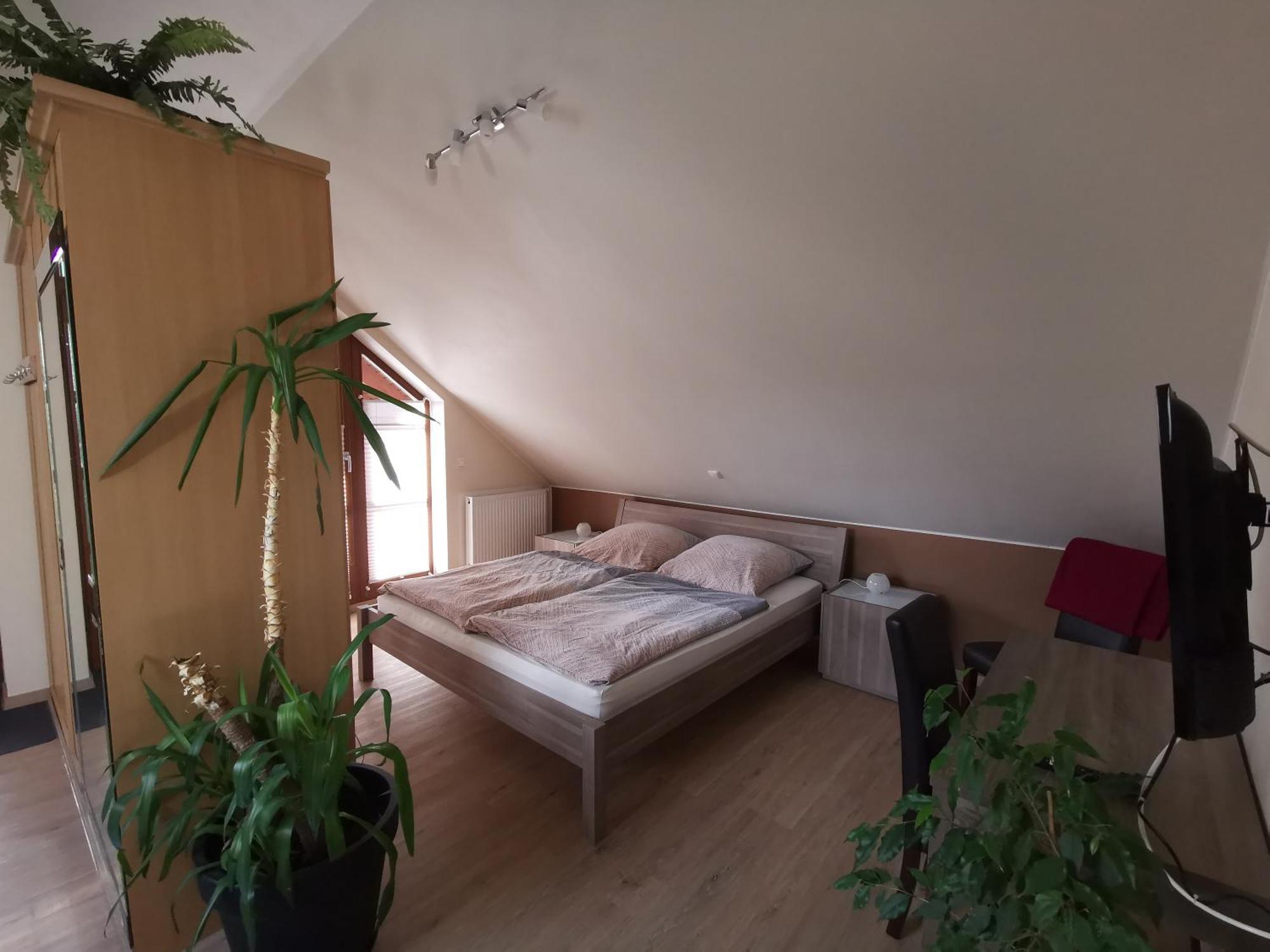 Studio Und Apartment Auf Dem Pferdehof Burgpreppach Exteriör bild