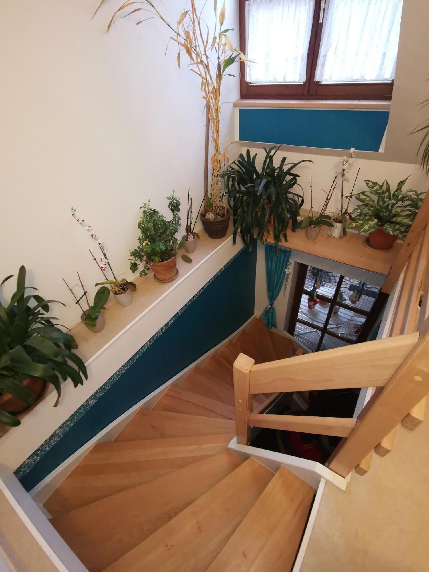 Studio Und Apartment Auf Dem Pferdehof Burgpreppach Exteriör bild